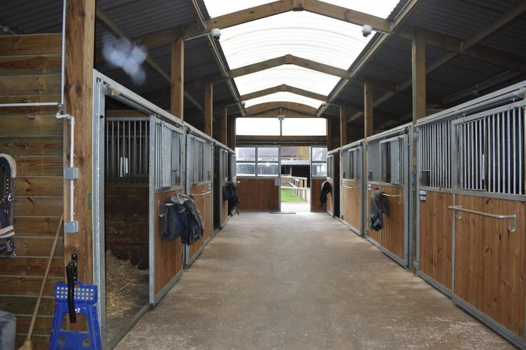 Вілла Haras De Connincthun Beuvrequen Екстер'єр фото